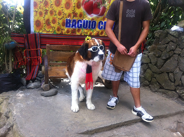 baguio-dog
